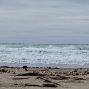 Meet your Posher, Liz